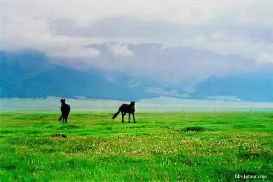 绝色新疆，色彩流淌的天堂