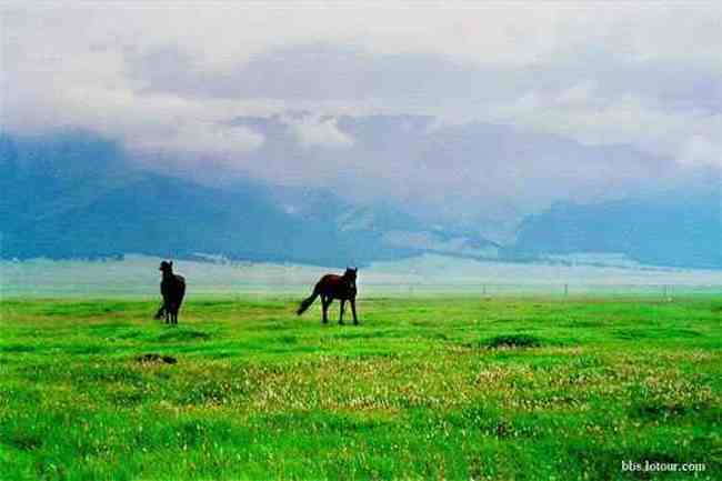 绝色新疆,色彩流淌的天堂,图二