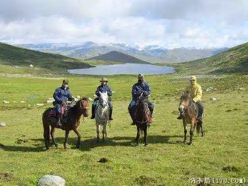 喀纳斯东线马帮探奇游(三)