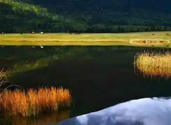 喀纳斯湖风光,图六