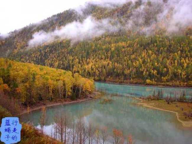 新疆圆舞曲6,图八