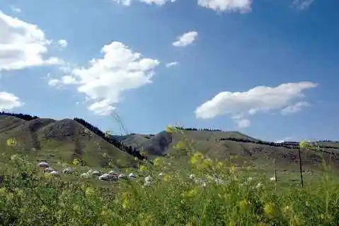 (北疆之六)南山牧场