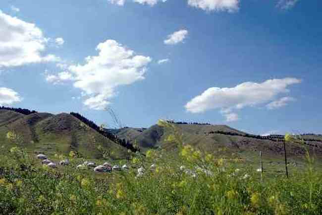 (北疆之六)南山牧場,圖六