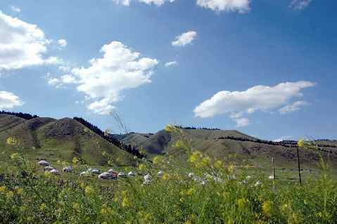 (北疆之六)南山牧场,图六