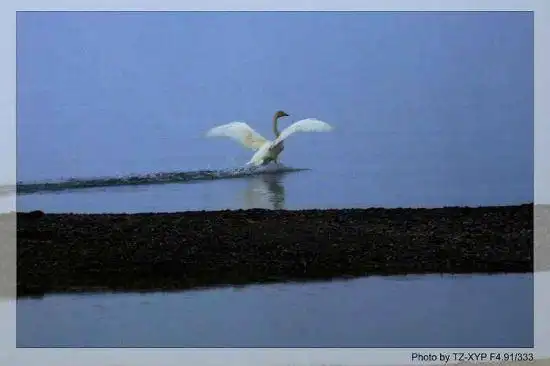 起飞----着陆《赛里木湖》