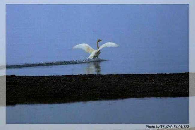 起飞----着陆《赛里木湖》,图四