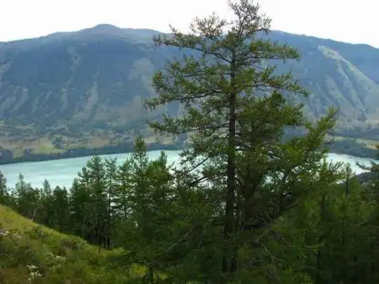 北疆行(4)-在禾木看日落