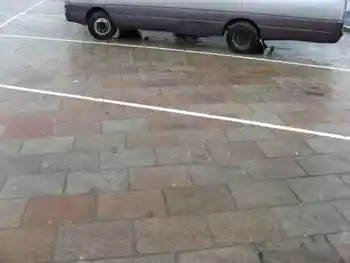 喀纳斯印象,图二十二