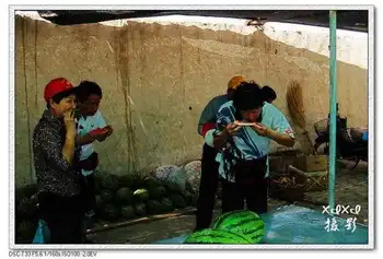 【走进新疆】3.走在安西戈壁滩上,图六