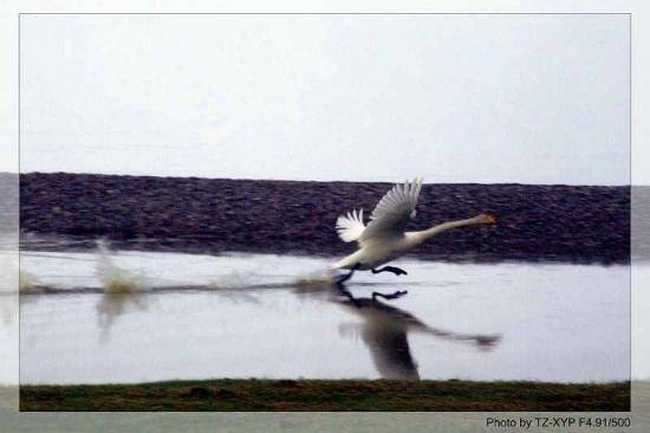 起飞----着陆《赛里木湖》,图二