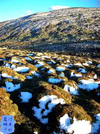 新疆圆舞曲4,图十五