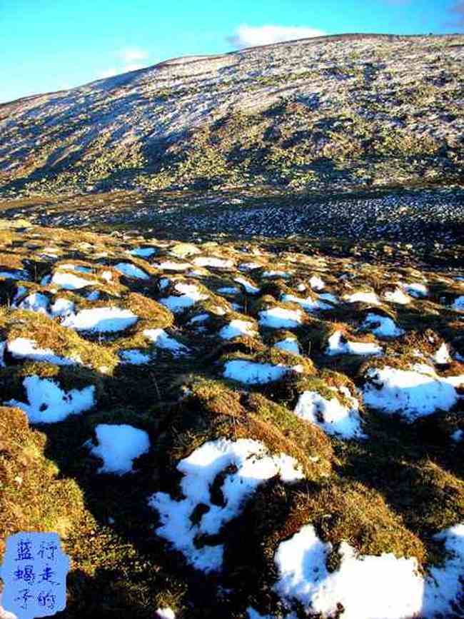 新疆圆舞曲4,图十五