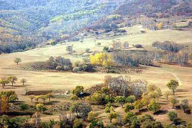 秋行坝上，感受幸福的另一种定义!!,图四