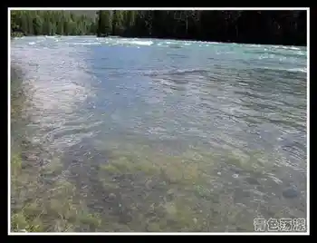 新疆散记10.变幻的喀纳斯湖,图十