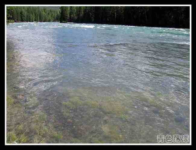 新疆散记10.变幻的喀纳斯湖,图十