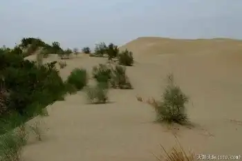 穿越塔克拉玛干（下）,图十五