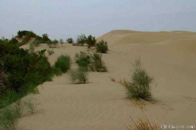 穿越塔克拉玛干（下）,图十五