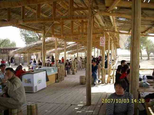 心旷神怡的罗布人村寨,图十二