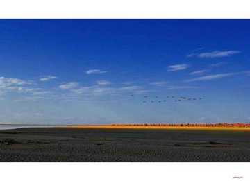 陶醉在塔里木河畔,图七