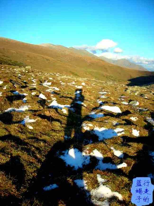 新疆圆舞曲4,图十四