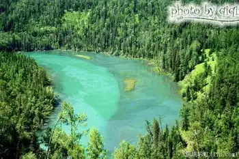北疆自然揽胜之三：纯美翡翠喀纳斯,图十三