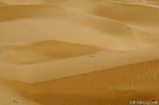 穿越塔克拉玛干（中）