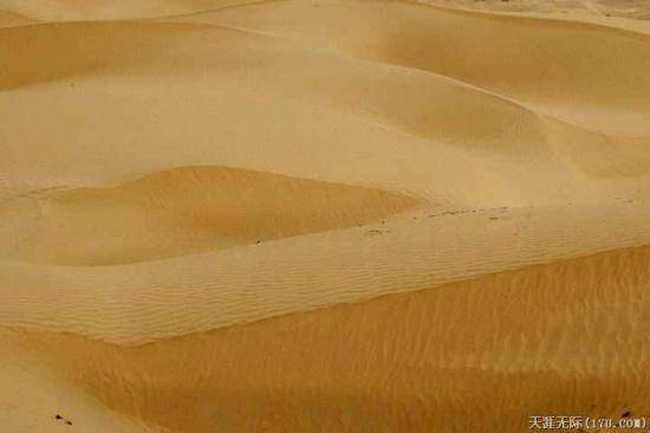 穿越塔克拉瑪干(中),圖二十三