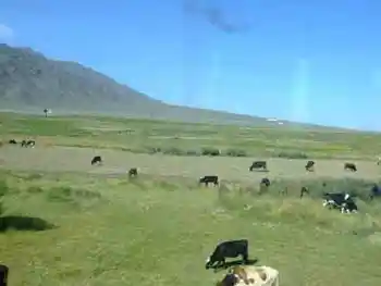 新疆游记——吐鲁番2,图四