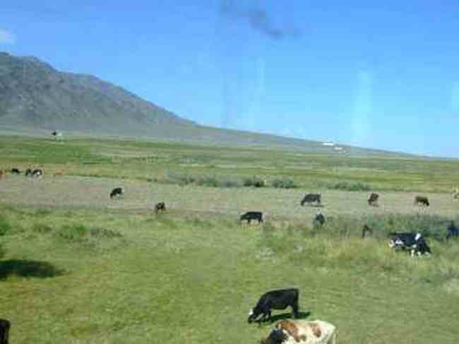 新疆游记——吐鲁番2,图四