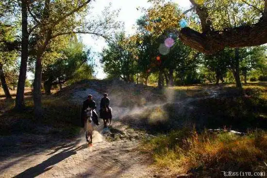 万里追寻,西域绝美的浪漫印象