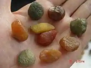 喀什游新发现,图四