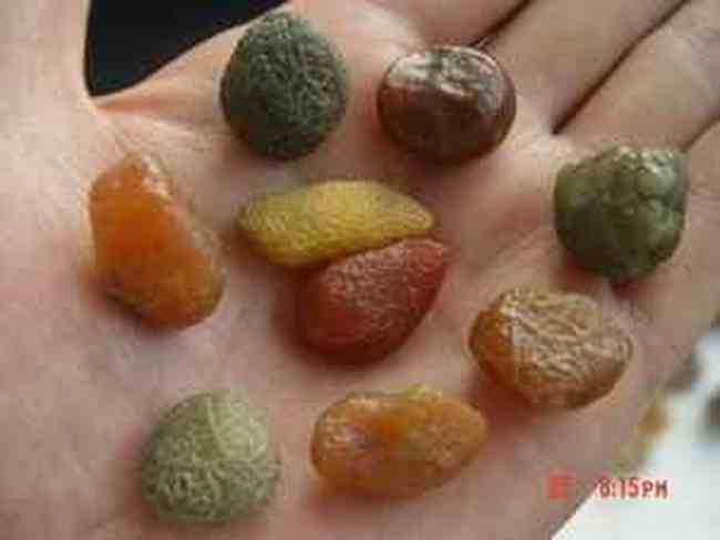 喀什游新发现,图四