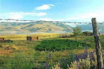 新疆盛宴—喀纳斯,图四