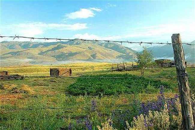 新疆盛宴—喀纳斯,图四