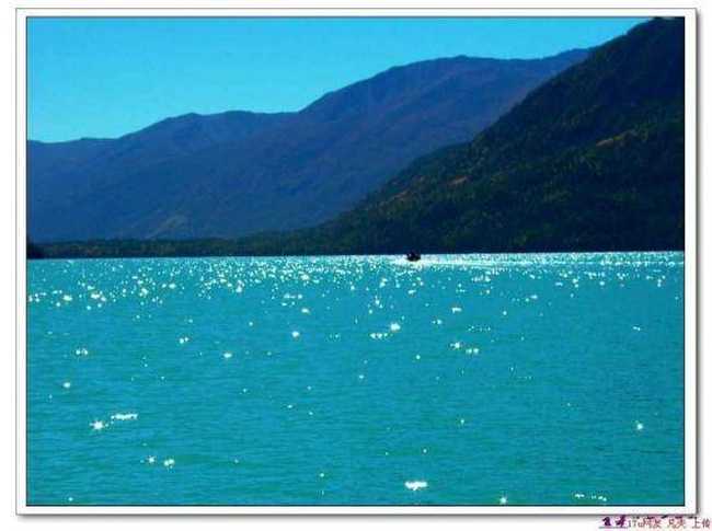 星光灿烂的喀纳斯湖,图十二