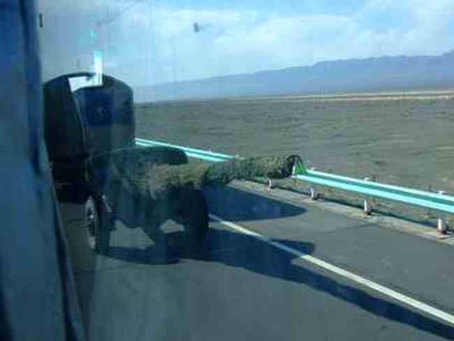 新疆游记——吐鲁番2,图五