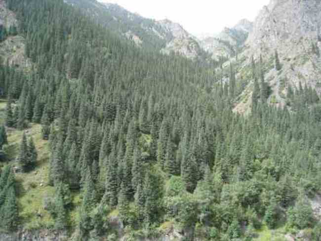 新疆，心无疆—中国新疆天山1号冰川、南山,图四