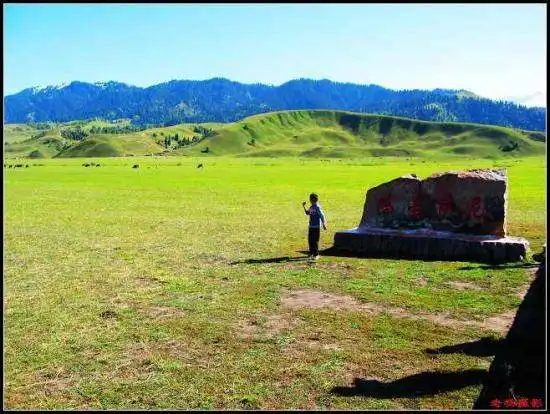有太阳和绿草的地方-那拉提草原