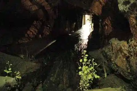 (北疆之五)吐鲁番的葡萄还没有熟