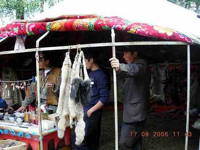 COLORFULDAYSINMYHEART-美丽的国之边境：白哈巴,图七