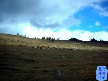 新疆圆舞曲5,图九