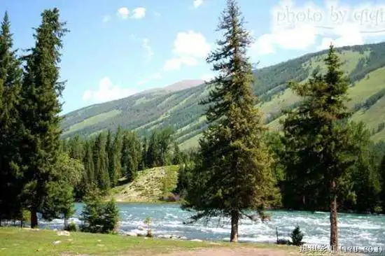 北疆自然揽胜之三：纯美翡翠喀纳斯