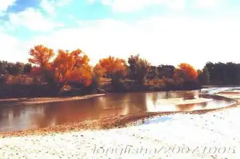 苍茫西北，我再难以忘情的地方！（六）,图四