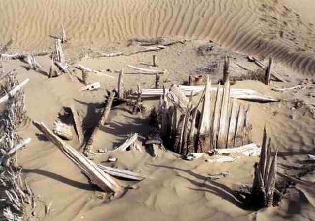 走进死亡之海,寻找“东方庞贝城”,图三