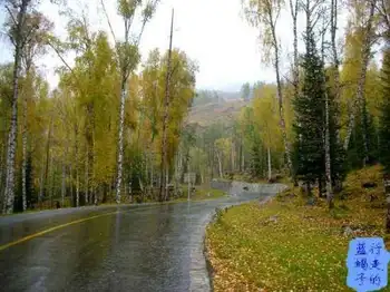 新疆圆舞曲6,图三