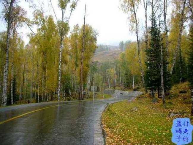 新疆圆舞曲6,图三