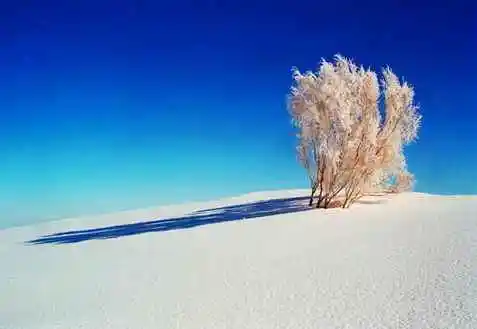 新疆地区