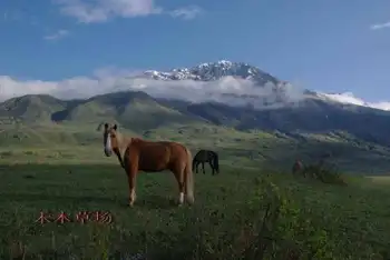 2008南北疆16日游流水账,图二