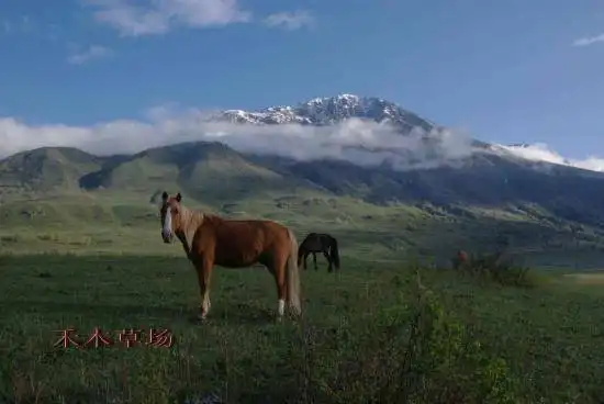 2008南北疆16日游流水账