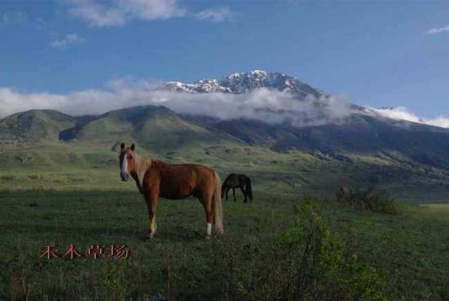 2008南北疆16日游流水账,图二